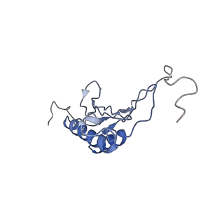 9703_6ip8_3L_v1-2
Cryo-EM structure of the HCV IRES dependently initiated CMV-stalled 80S ribosome (Structure iv)