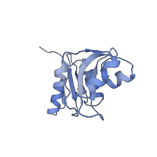 9703_6ip8_3M_v1-2
Cryo-EM structure of the HCV IRES dependently initiated CMV-stalled 80S ribosome (Structure iv)