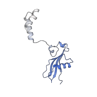 9703_6ip8_3N_v1-2
Cryo-EM structure of the HCV IRES dependently initiated CMV-stalled 80S ribosome (Structure iv)