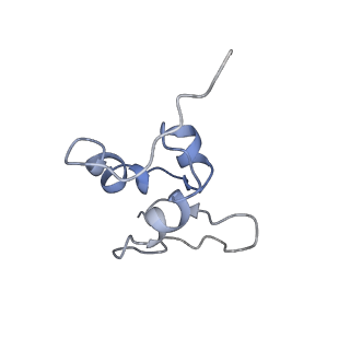 9703_6ip8_3O_v1-2
Cryo-EM structure of the HCV IRES dependently initiated CMV-stalled 80S ribosome (Structure iv)