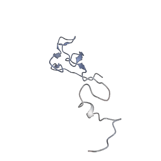 9703_6ip8_3P_v1-2
Cryo-EM structure of the HCV IRES dependently initiated CMV-stalled 80S ribosome (Structure iv)