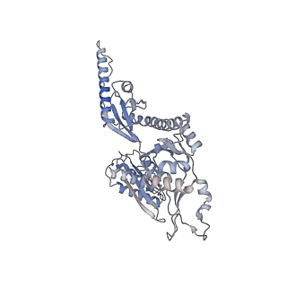 9703_6ip8_zw_v1-2
Cryo-EM structure of the HCV IRES dependently initiated CMV-stalled 80S ribosome (Structure iv)