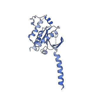 35657_8iq4_A_v1-0
Cryo-EM structure of Carboprost-bound prostaglandin-F2-alpha receptor-miniGq-Nb35 complex
