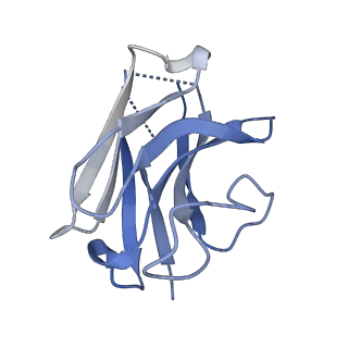 35657_8iq4_N_v1-0
Cryo-EM structure of Carboprost-bound prostaglandin-F2-alpha receptor-miniGq-Nb35 complex
