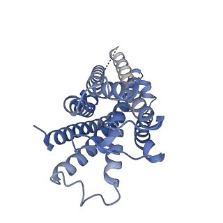 35657_8iq4_R_v1-0
Cryo-EM structure of Carboprost-bound prostaglandin-F2-alpha receptor-miniGq-Nb35 complex