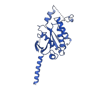 35658_8iq6_A_v1-0
Cryo-EM structure of Latanoprost-bound prostaglandin-F2-alpha receptor-miniGq-Nb35 complex