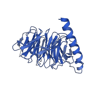 35658_8iq6_B_v1-0
Cryo-EM structure of Latanoprost-bound prostaglandin-F2-alpha receptor-miniGq-Nb35 complex