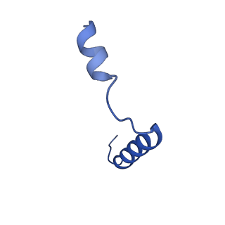 35658_8iq6_G_v1-0
Cryo-EM structure of Latanoprost-bound prostaglandin-F2-alpha receptor-miniGq-Nb35 complex