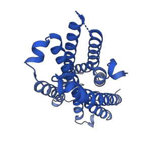35658_8iq6_R_v1-0
Cryo-EM structure of Latanoprost-bound prostaglandin-F2-alpha receptor-miniGq-Nb35 complex
