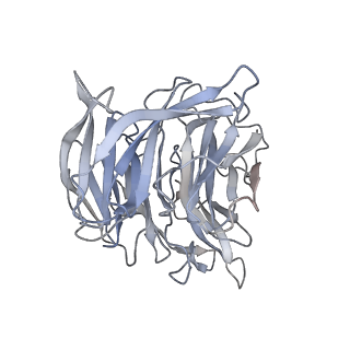 35660_8iqf_B_v1-1
Cryo-EM structure of the dimeric human CAF1-H3-H4 complex