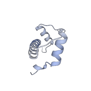 35660_8iqf_E_v1-1
Cryo-EM structure of the dimeric human CAF1-H3-H4 complex