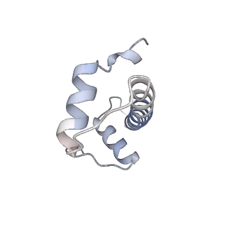 35660_8iqf_J_v1-1
Cryo-EM structure of the dimeric human CAF1-H3-H4 complex