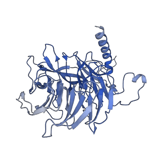 35661_8iqg_C_v1-1
Cryo-EM structure of the monomeric human CAF1-H3-H4 complex