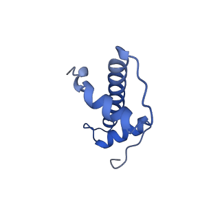 35661_8iqg_E_v1-1
Cryo-EM structure of the monomeric human CAF1-H3-H4 complex