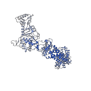 35670_8iqh_A_v1-1
Structure of Full-Length AsfvPrimPol in Apo-Form
