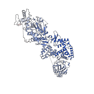 35670_8iqh_B_v1-1
Structure of Full-Length AsfvPrimPol in Apo-Form