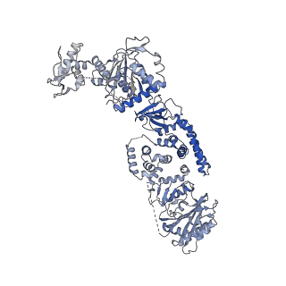 35670_8iqh_C_v1-1
Structure of Full-Length AsfvPrimPol in Apo-Form