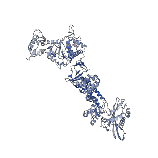 35670_8iqh_D_v1-1
Structure of Full-Length AsfvPrimPol in Apo-Form
