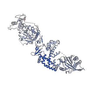 35670_8iqh_E_v1-1
Structure of Full-Length AsfvPrimPol in Apo-Form