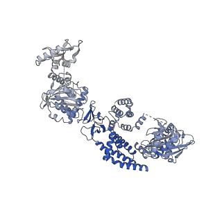 35670_8iqh_F_v1-1
Structure of Full-Length AsfvPrimPol in Apo-Form