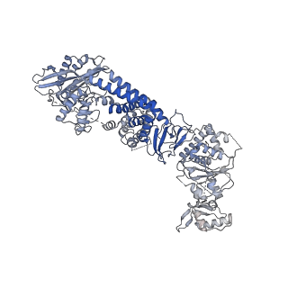 35670_8iqh_G_v1-1
Structure of Full-Length AsfvPrimPol in Apo-Form