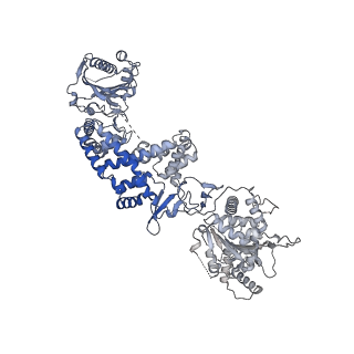 35670_8iqh_H_v1-1
Structure of Full-Length AsfvPrimPol in Apo-Form