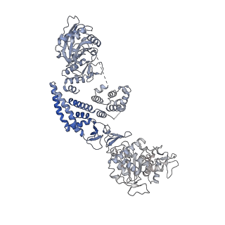 35670_8iqh_I_v1-1
Structure of Full-Length AsfvPrimPol in Apo-Form