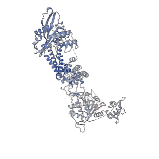 35670_8iqh_J_v1-1
Structure of Full-Length AsfvPrimPol in Apo-Form