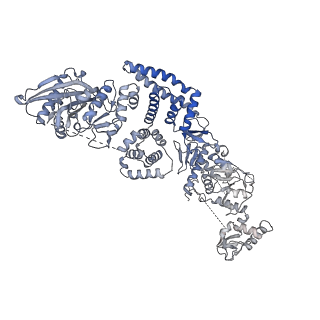 35670_8iqh_M_v1-1
Structure of Full-Length AsfvPrimPol in Apo-Form