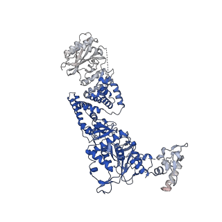 35671_8iqi_A_v1-1
Structure of Full-Length AsfvPrimPol in Complex-Form