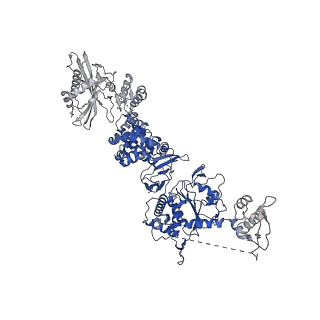 35671_8iqi_B_v1-1
Structure of Full-Length AsfvPrimPol in Complex-Form