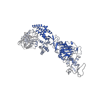 35671_8iqi_D_v1-1
Structure of Full-Length AsfvPrimPol in Complex-Form