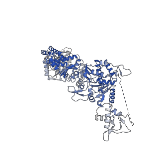 35671_8iqi_E_v1-1
Structure of Full-Length AsfvPrimPol in Complex-Form
