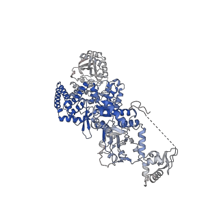 35671_8iqi_F_v1-1
Structure of Full-Length AsfvPrimPol in Complex-Form