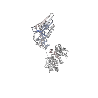 8107_5iqr_8_v1-1
Structure of RelA bound to the 70S ribosome