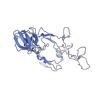 8107_5iqr_B_v1-1
Structure of RelA bound to the 70S ribosome