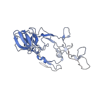 8107_5iqr_B_v2-1
Structure of RelA bound to the 70S ribosome