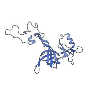 8107_5iqr_C_v1-1
Structure of RelA bound to the 70S ribosome