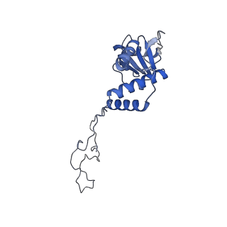 8107_5iqr_D_v3-0
Structure of RelA bound to the 70S ribosome