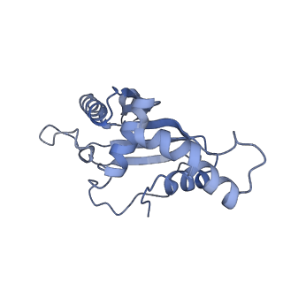 8107_5iqr_E_v1-1
Structure of RelA bound to the 70S ribosome