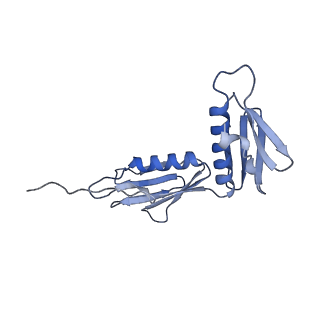 8107_5iqr_F_v1-1
Structure of RelA bound to the 70S ribosome