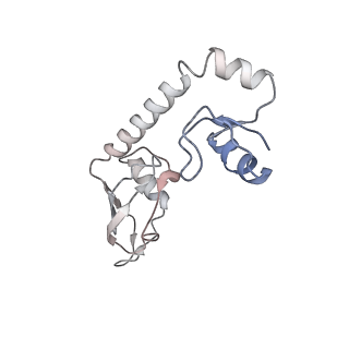 8107_5iqr_G_v1-1
Structure of RelA bound to the 70S ribosome