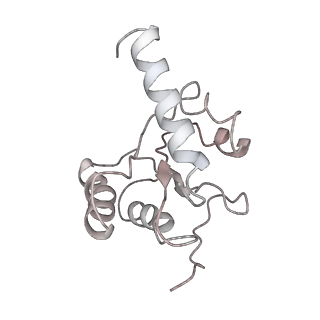 8107_5iqr_H_v1-1
Structure of RelA bound to the 70S ribosome