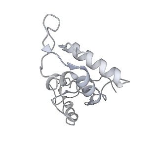 8107_5iqr_I_v1-1
Structure of RelA bound to the 70S ribosome