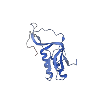 8107_5iqr_M_v1-1
Structure of RelA bound to the 70S ribosome
