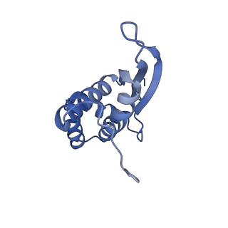 8107_5iqr_N_v1-1
Structure of RelA bound to the 70S ribosome