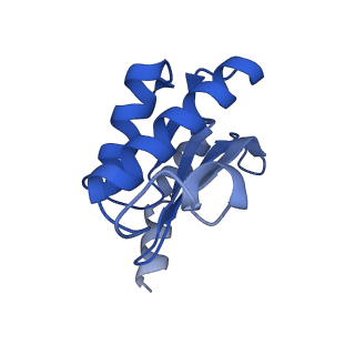 8107_5iqr_O_v1-1
Structure of RelA bound to the 70S ribosome