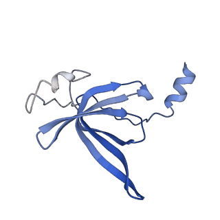 8107_5iqr_P_v1-1
Structure of RelA bound to the 70S ribosome