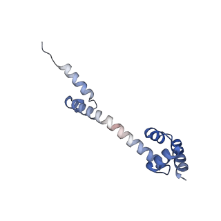 8107_5iqr_Q_v1-1
Structure of RelA bound to the 70S ribosome