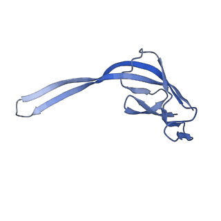 8107_5iqr_R_v1-1
Structure of RelA bound to the 70S ribosome